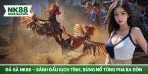 Đá gà NK88