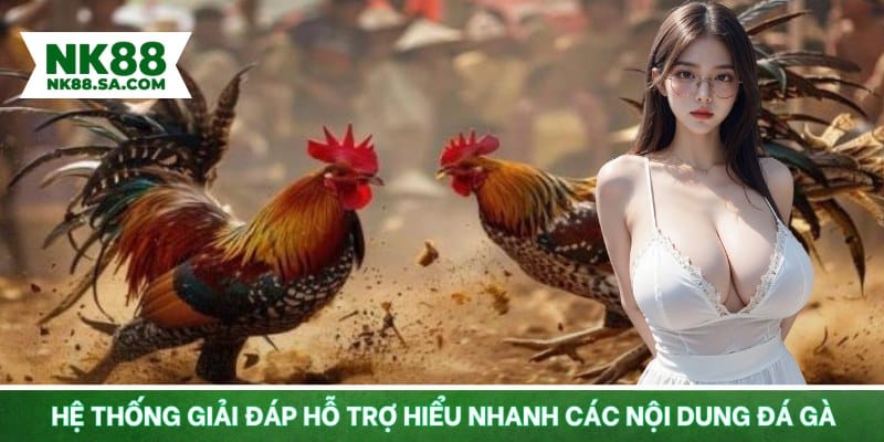 Hệ thống giải đáp hỗ trợ hiểu nhanh các nội dung đá gà
