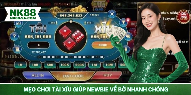 Mẹo chơi tài xỉu giúp newbie về bờ nhanh chóng